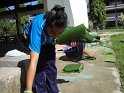 DSC00925