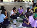 DSC00950