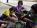 DSC00954