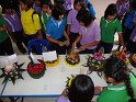 DSC00960