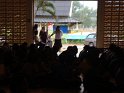DSC00991