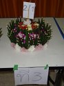 DSC01017