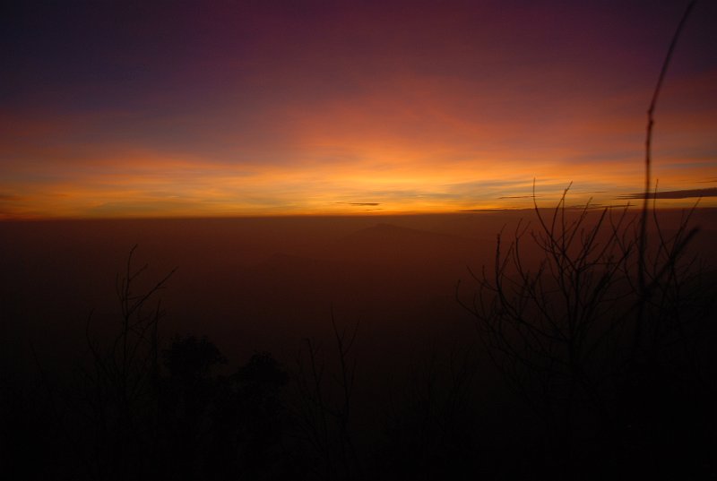DSC_0069.JPG