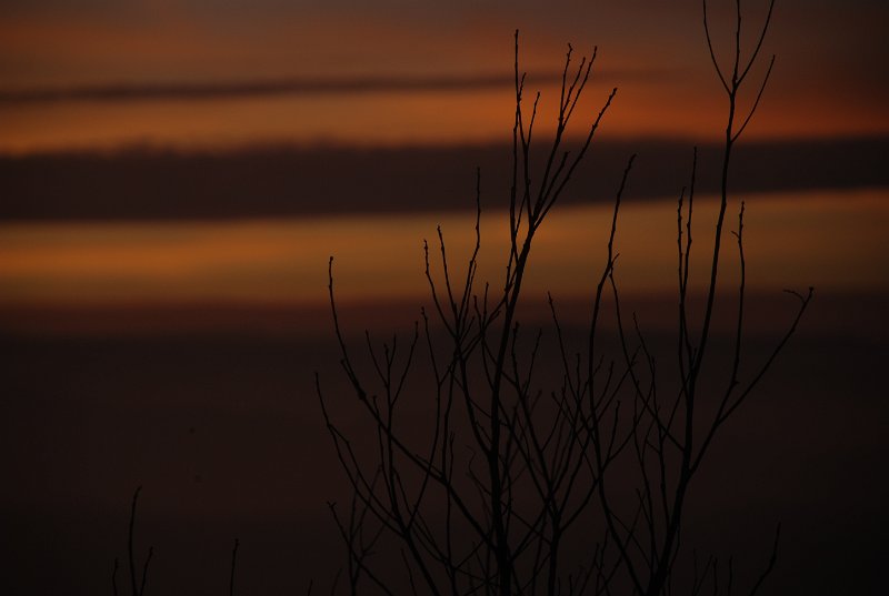 DSC_0078.JPG