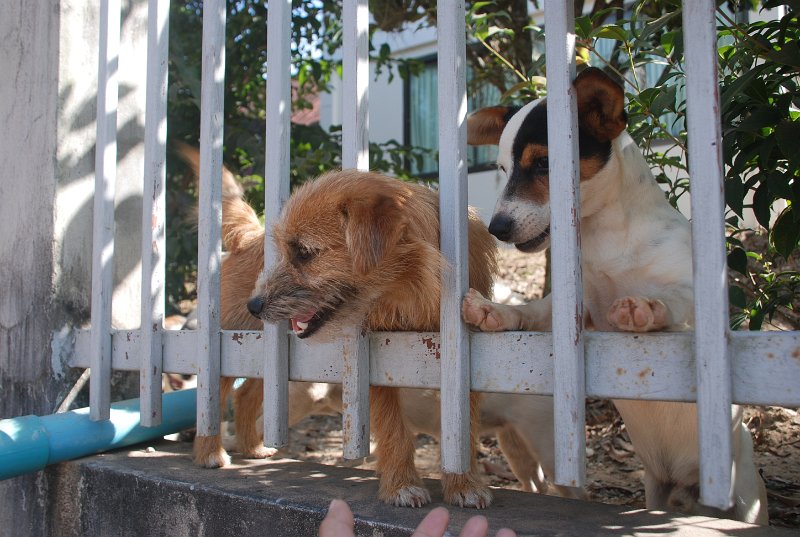 DSC_0278.JPG