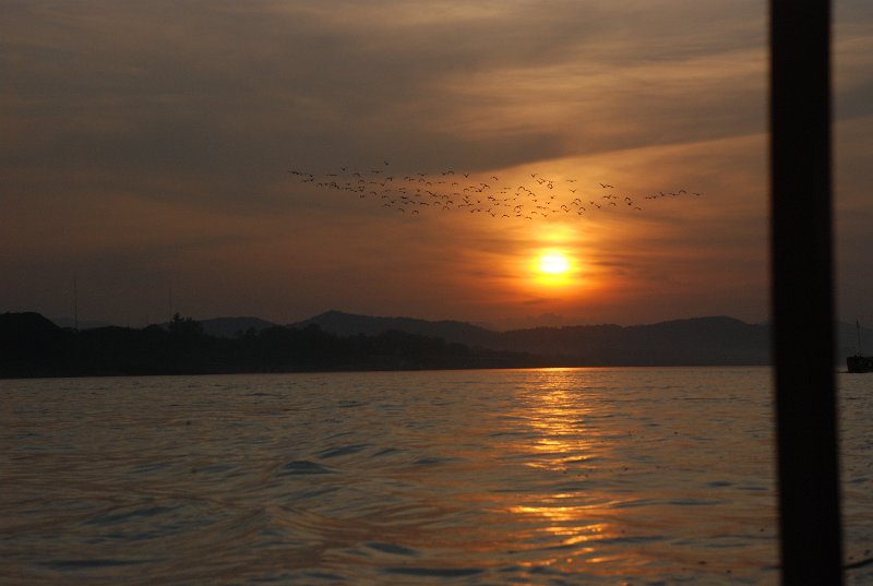 DSC_0379.JPG