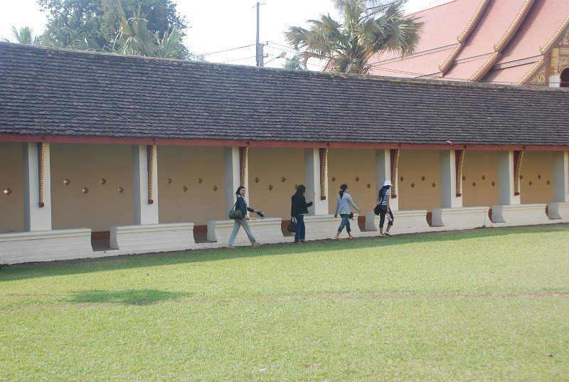 DSC_0736.JPG