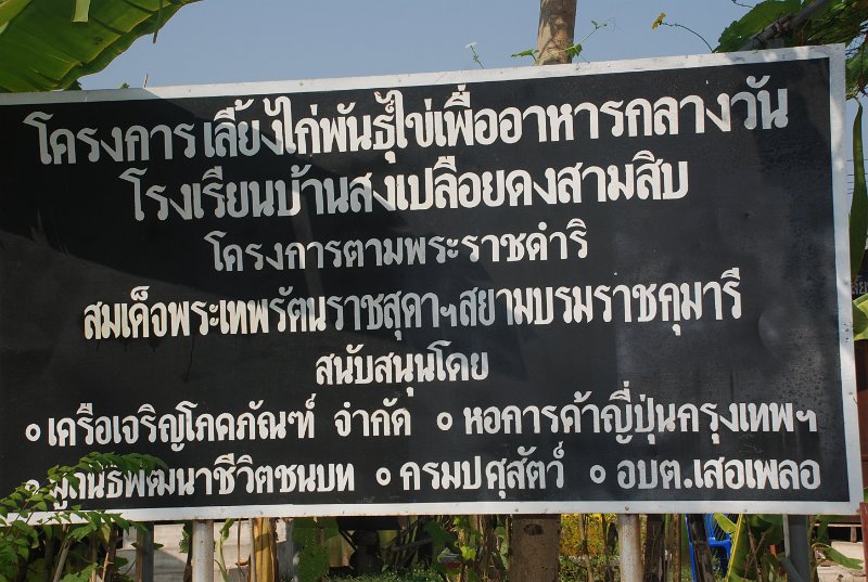 DSC_0972.JPG