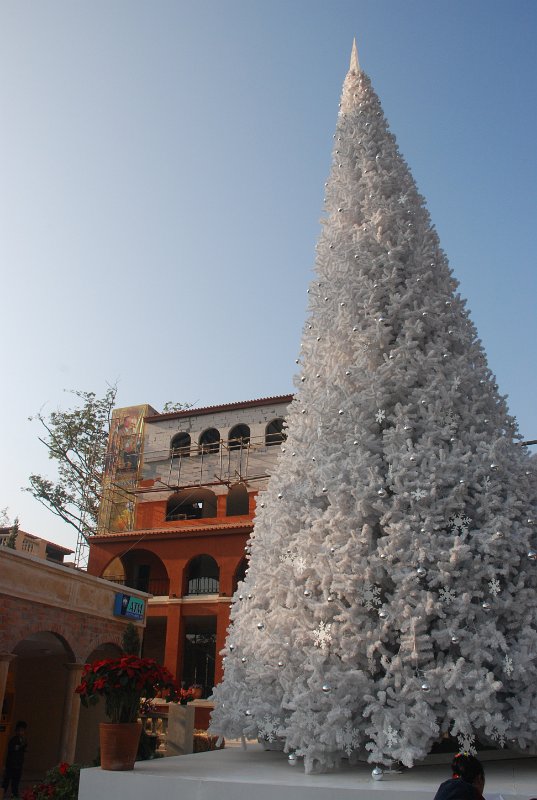 DSC_1065.JPG