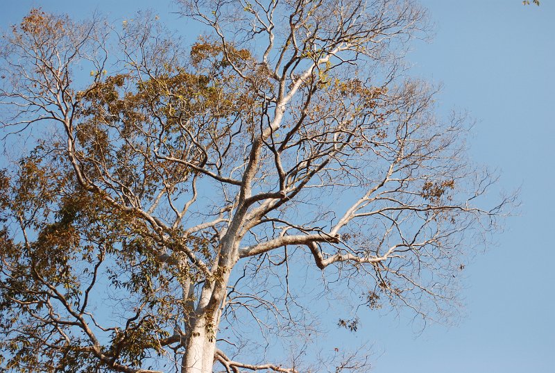 DSC_1101.JPG