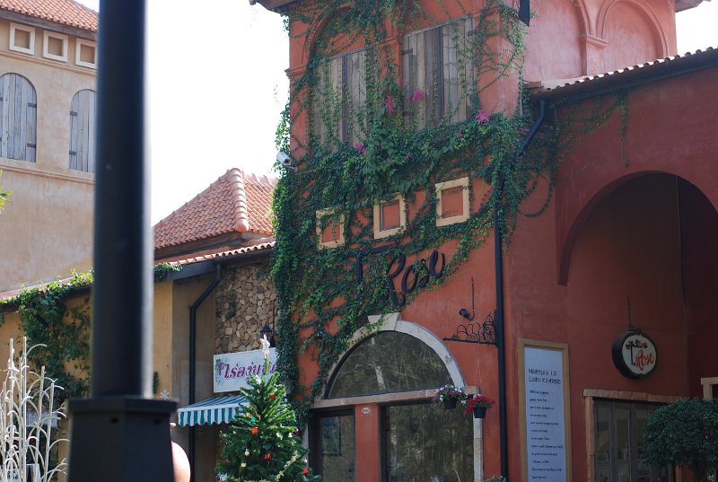 DSC_1124.JPG