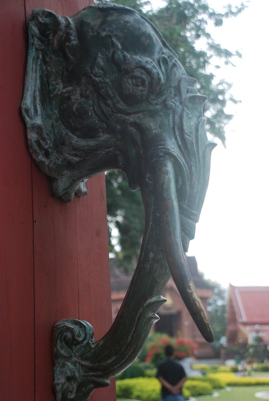 DSC_9946.JPG