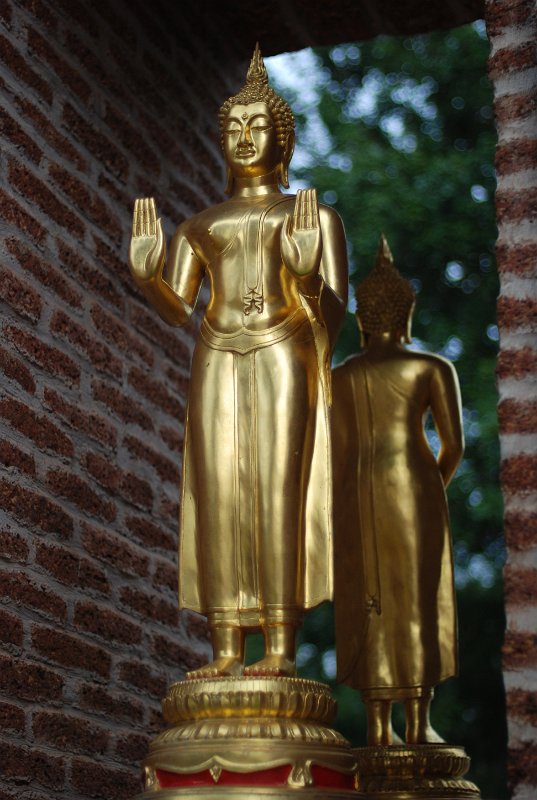 DSC_9997.JPG