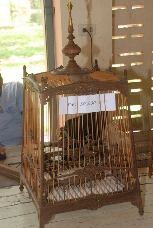 DSC_2996.JPG