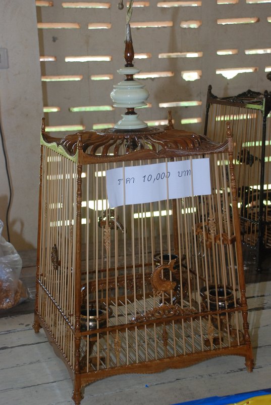 DSC_2997.JPG