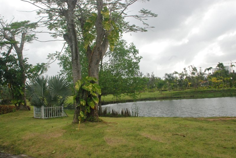 DSC_3746.JPG