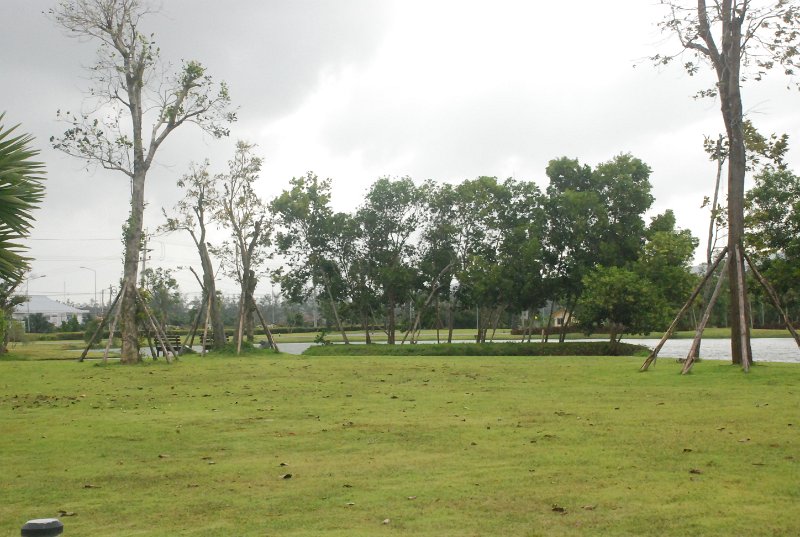 DSC_3749.JPG