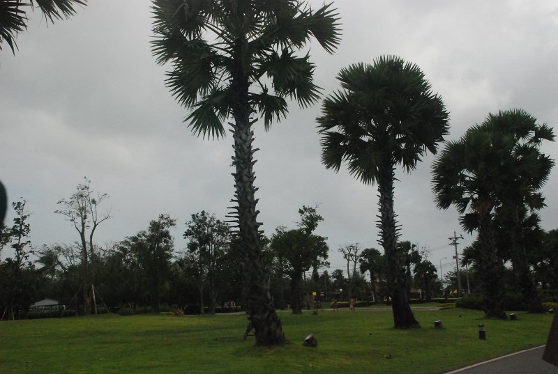 DSC_3750.JPG