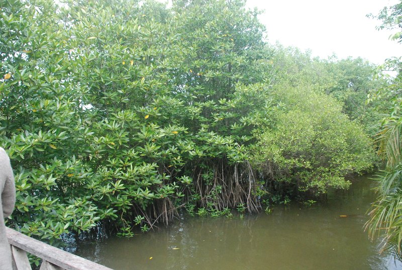 DSC_3825.JPG