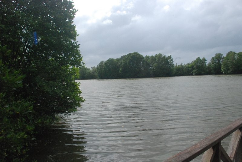 DSC_3828.JPG