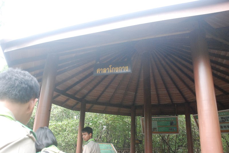 DSC_3833.JPG