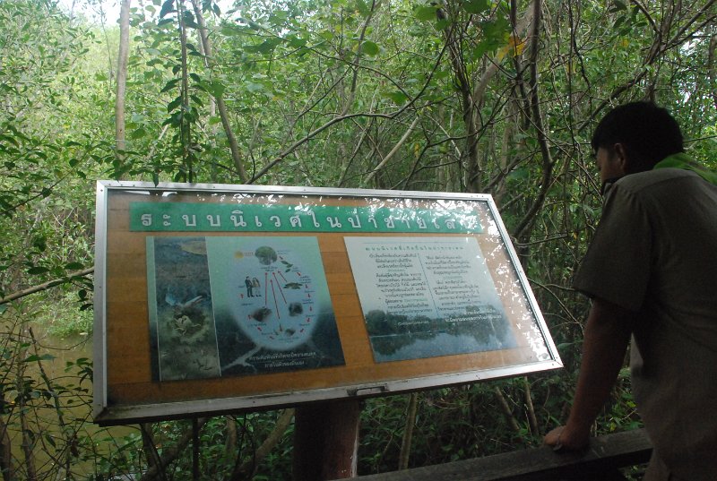 DSC_3834.JPG