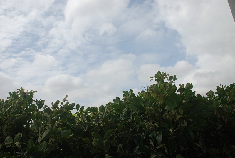 DSC_3898.JPG