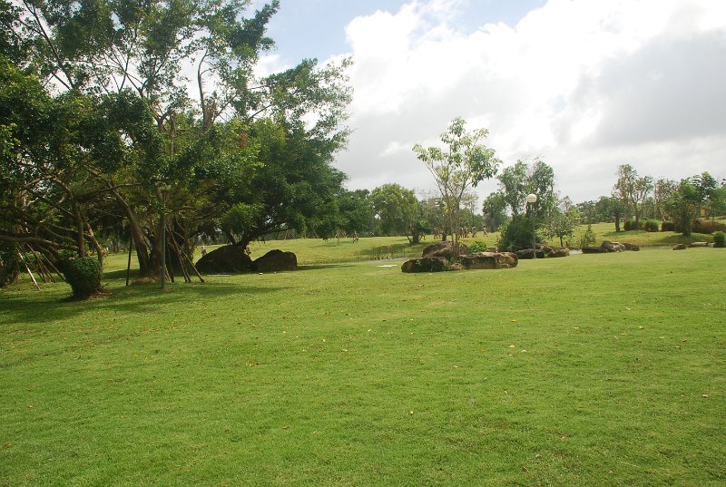 DSC_4102.JPG