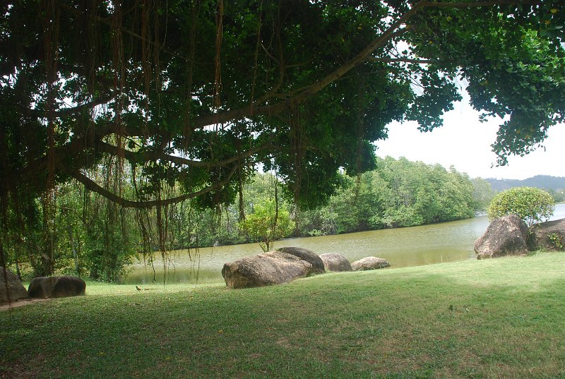 DSC_4109.JPG