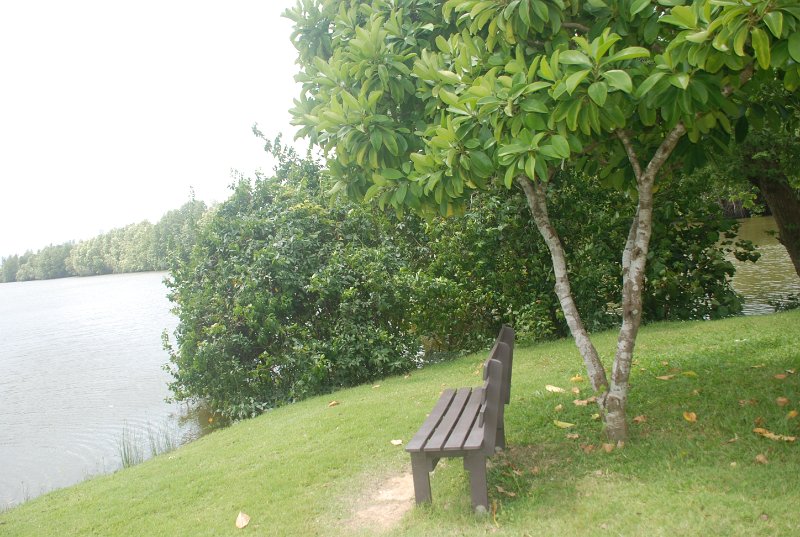 DSC_4135.JPG