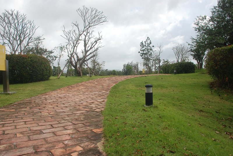 DSC_4137.JPG