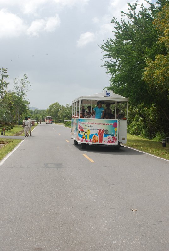 DSC_4166.JPG