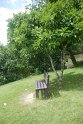 DSC_4133