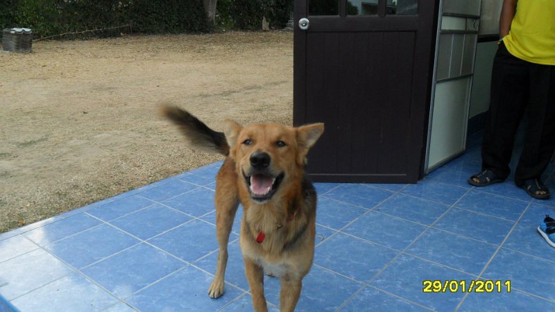 SAM_0733.JPG