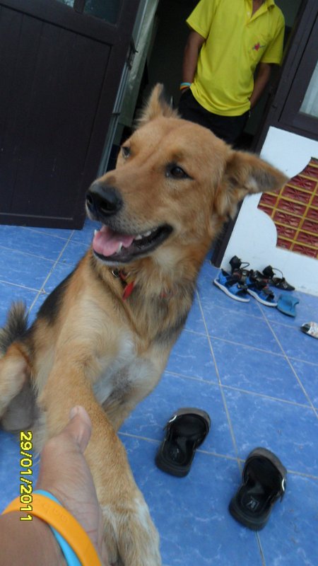 SAM_0734.JPG