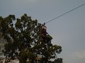 DSC03782
