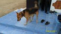 SAM_0735