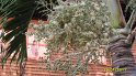 SAM_0753