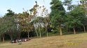SAM_0764