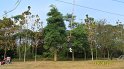 SAM_0765