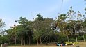 SAM_0766