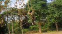 SAM_0773