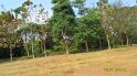 SAM_0776