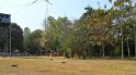 SAM_0783