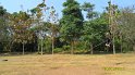 SAM_0793