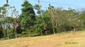 SAM_0794