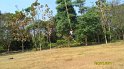 SAM_0795