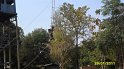 SAM_0798