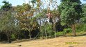 SAM_0805