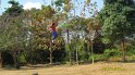 SAM_0806